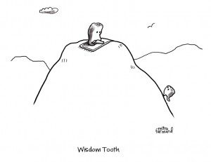 Wisdom Tooth